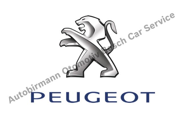 Üsküdar Peugeot Servisi
