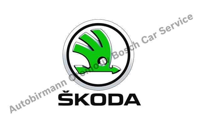Üsküdar Skoda Servisi